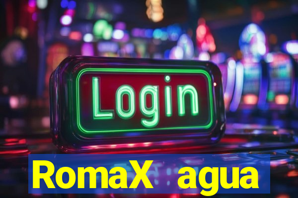 RomaX agua sanitaria fispq agua sanitaria romax